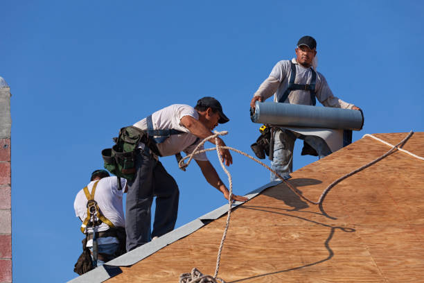 Best Roof Gutter Cleaning  in Camp Hill, PA
